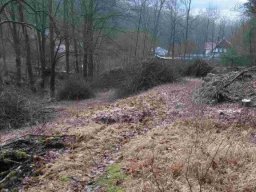 2014 &raquo; Bogenstand